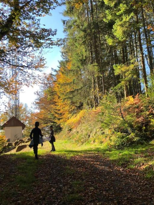 Le Chalet Des Coeurs Le Tholy Exteriör bild